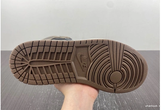 Jordan DZ5485-020 Retro  High Palomino 1  DZ5485-020 OG  0225